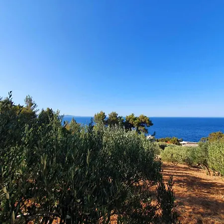 M&s * سفيتا نيدلجا